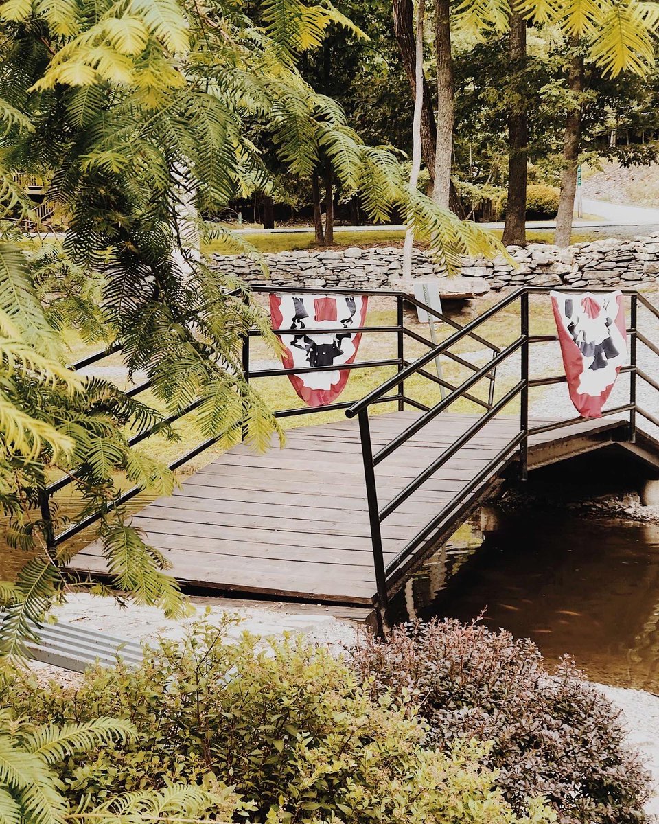 Masthope Mountain Community tweet media