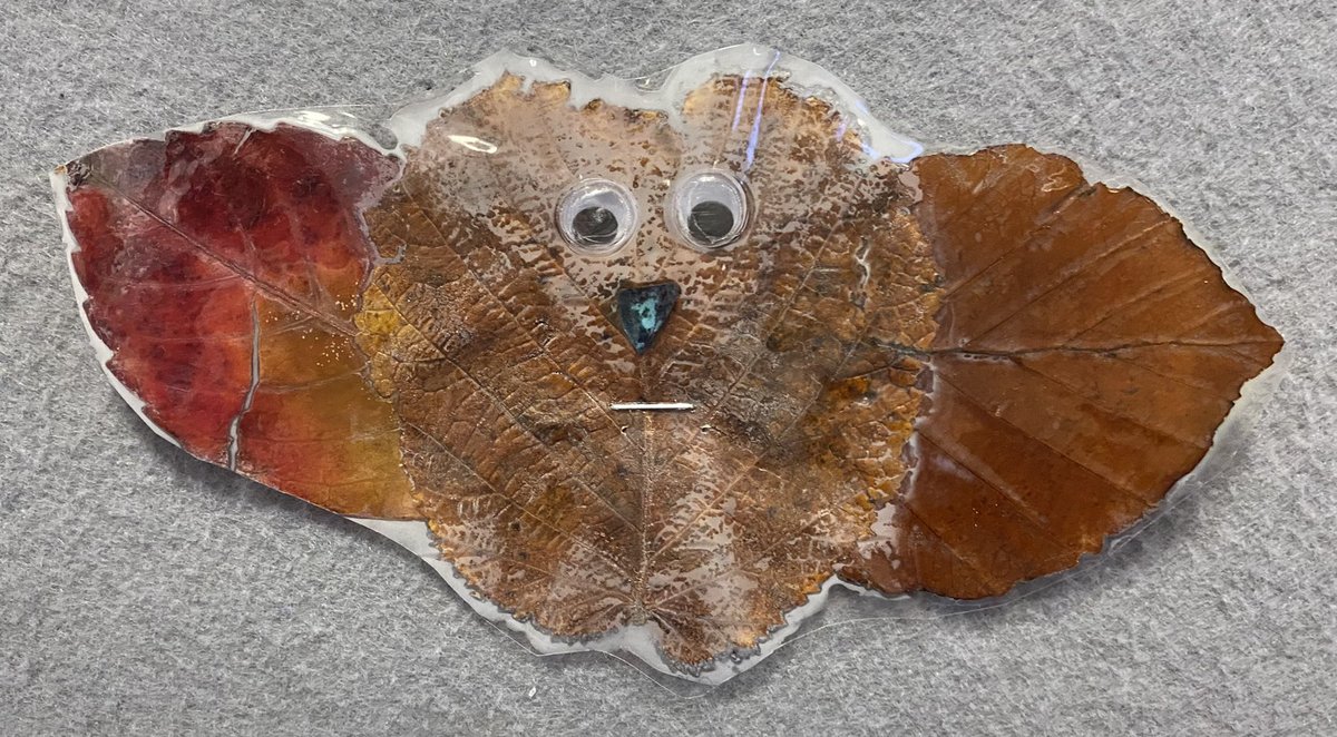 MissLAHarrison's tweet image. We made leaf mosaics this week to create a lovely Autumnal display.  #P4H #BEST #Autumn