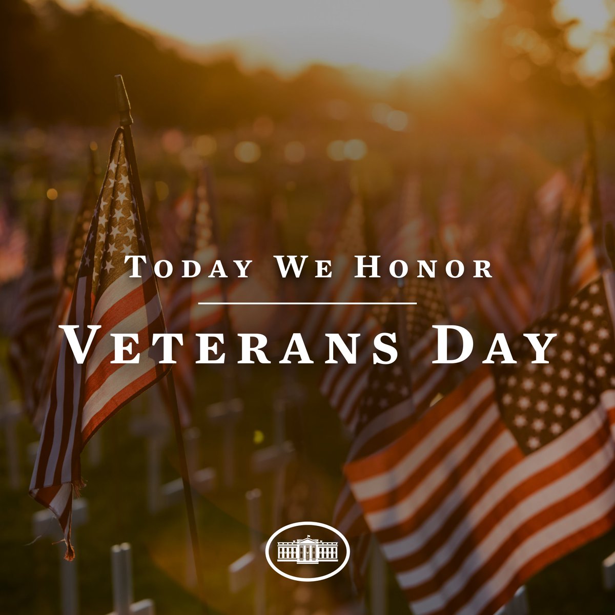 On Veterans Day, the Biden-Harris Administration honors the generations of patriots who have forged and defended the very idea of America – a promise of freedom and equality, democracy and justice, possibility and hope.