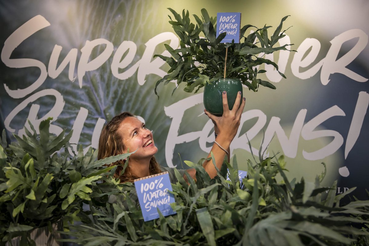 Trade Fairs by Royal FloraHolland tweet media