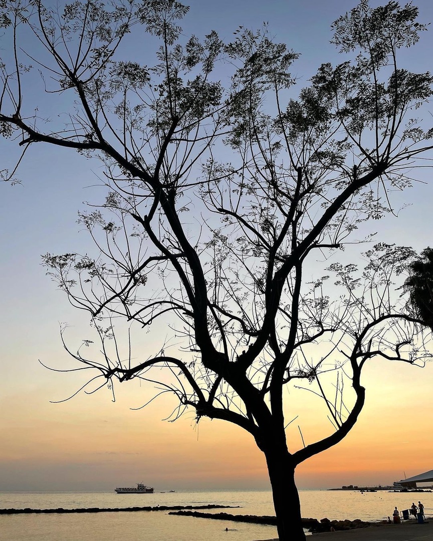 'Sunset is a way of stopping everything else for one fleeting moment' 📸 

We love this recent capture on the beach by @r.sanphotography

Book your dose of winter sun at Annabelle at annabelle.com.cy

#annabellehotel #cyprus