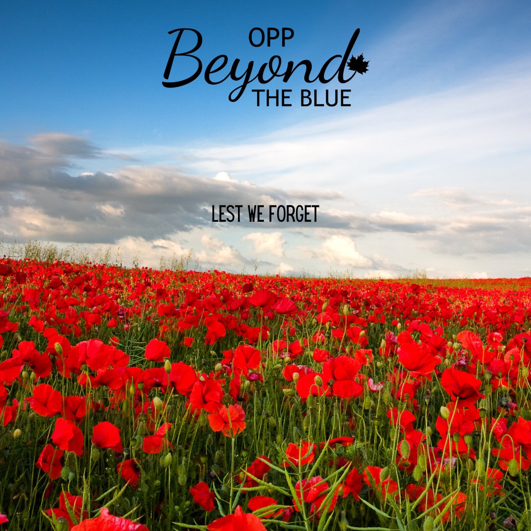 Today, as we should every day, we remember those who volunteered, sacrificed, served, fought, and died, for our freedom. We thank you, and we salute you as we salute those who made the ultimate sacrifice for our freedom. 

#rememberanceday #oppbtb #oppfamily