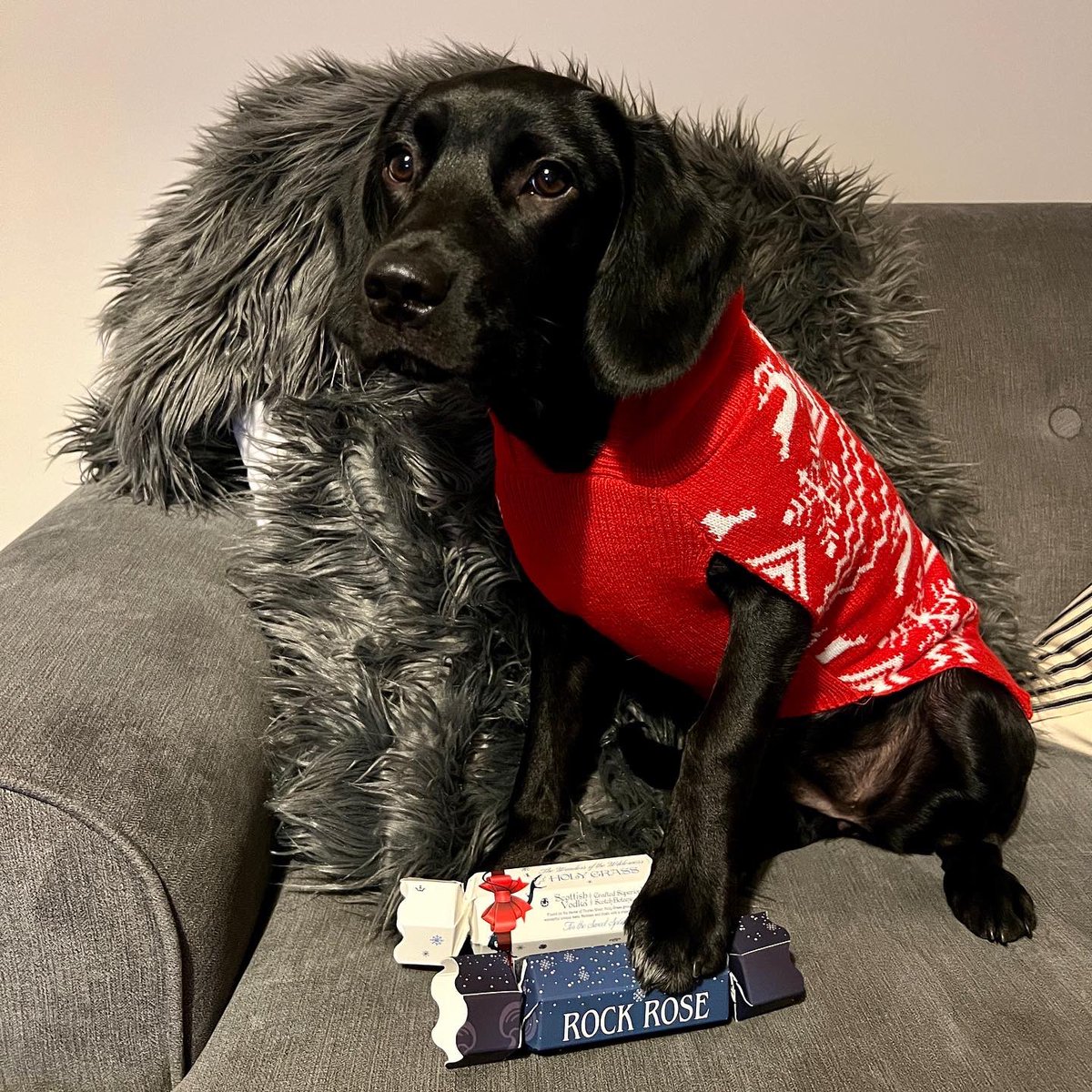 Drink Me Events tweet media