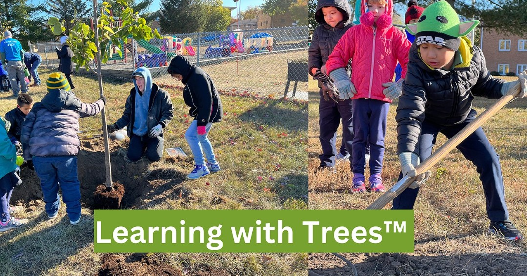 TreeTrust's tweet image. Tree Trust is planting 🌲 for the future with Twin Cities youth! 
Read more about our outdoor education program 🌳 Learning with Trees™ in this week's blog post.  
👉treetrust.org/outdoor-learni…
#learningwithtrees #outdoorlearning