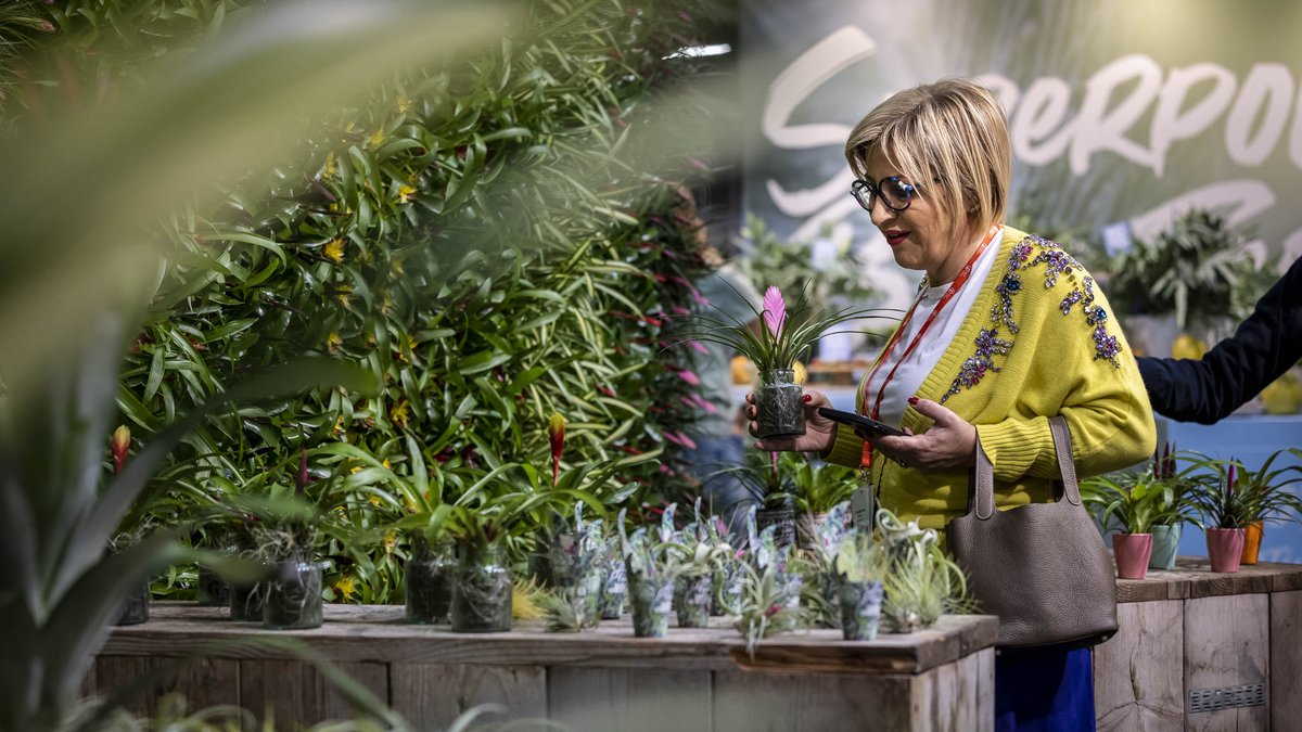 Royal FloraHolland tweet media