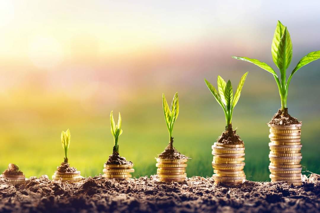 HornbeckOffical's tweet photo. HOS Services
Wondering what to invest in?
You need to find a quality and reputable place.
Don't worry. HOS Services is the leading prestige platform for you to start.
Visit us at https://t.co/St2w2R8y8L to find out https://t.co/wvzucBnjGB