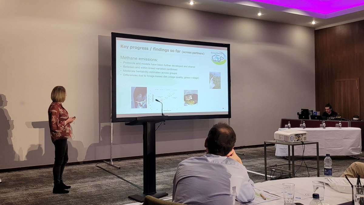 Nicola Lambe from <a href="/SRUC/">SRUC</a> giving an update on <a href="/grasstogas/">@GrassToGas</a>  at the <a href="/SheepBreeders22/">Sheep Breeders RT</a>.