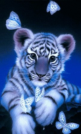 PinftagramMP's tweet image. Featuring "Cute Baby Tigger" by NFT King🔥

The NFT King tiger series continues to delight us with beautiful NFTs. Today it's the turn of this adorable baby tiger.

👉pinftagram.com/indivtoken?tok…

🌐linktr.ee/pinftagram