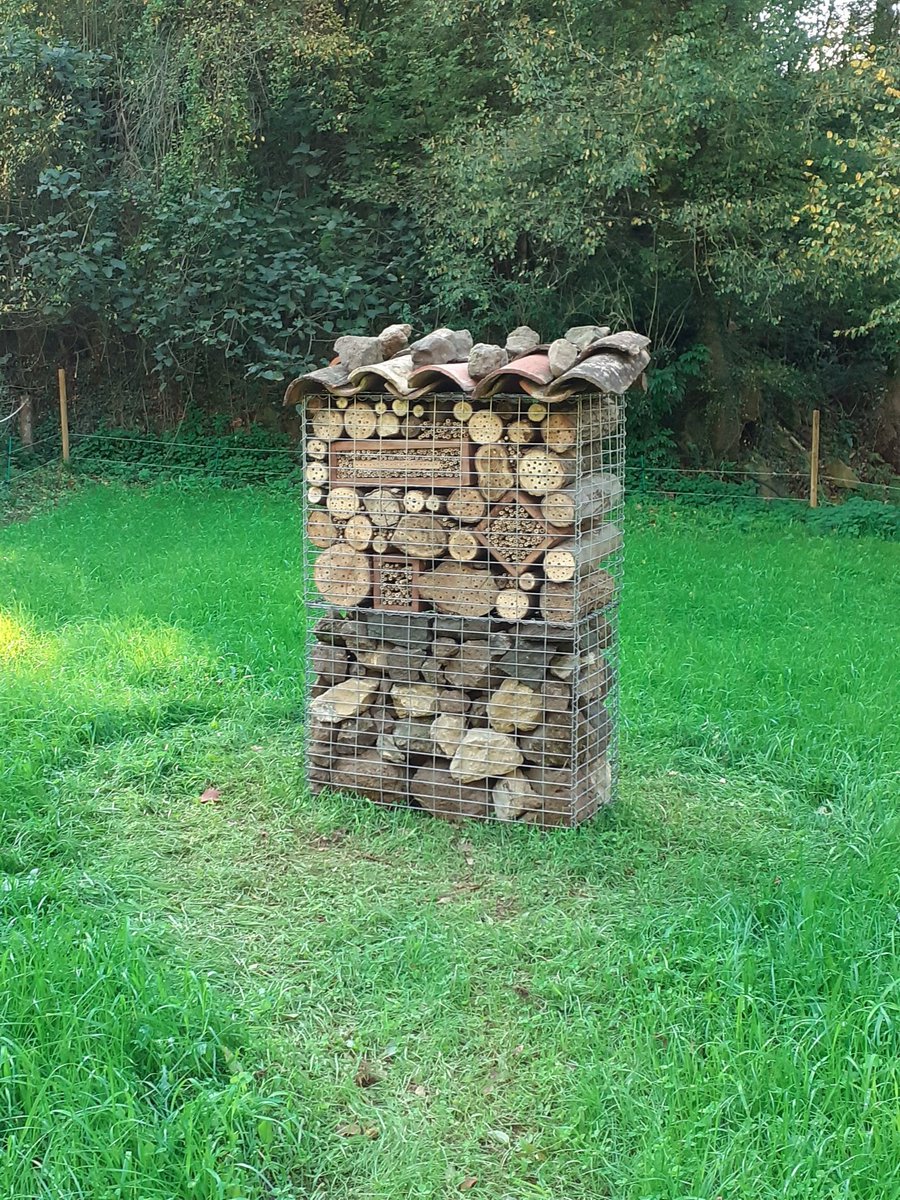 Nou hotel d'insectes als aiguamolls de depuració de begudà, garrotxa.  Lloc per més de 1000 polinitzadors! I al voltant un prat sembrat amb llavors de prats locals de bon estat ecològic, dins del projecte de restauració #aiguamollsbeguda impulsat per <a href="/agbar/">Agbar</a> amb SIGMA I ajuntament