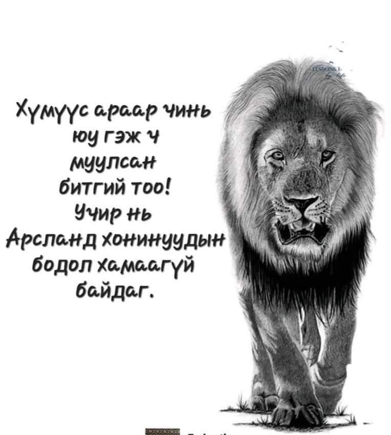 🇲🇳 Н.Рагчаа 🇲🇳 (@nragcaa) on Twitter photo 