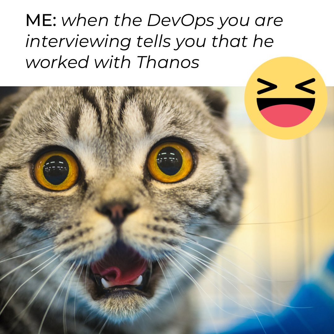 claudia_ossio's tweet photo. Happy Friday!
#recruiterlife https://t.co/sqXiECFsEY
