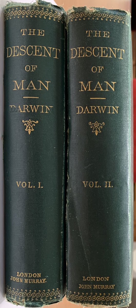 Henry-James Meiring tweet media