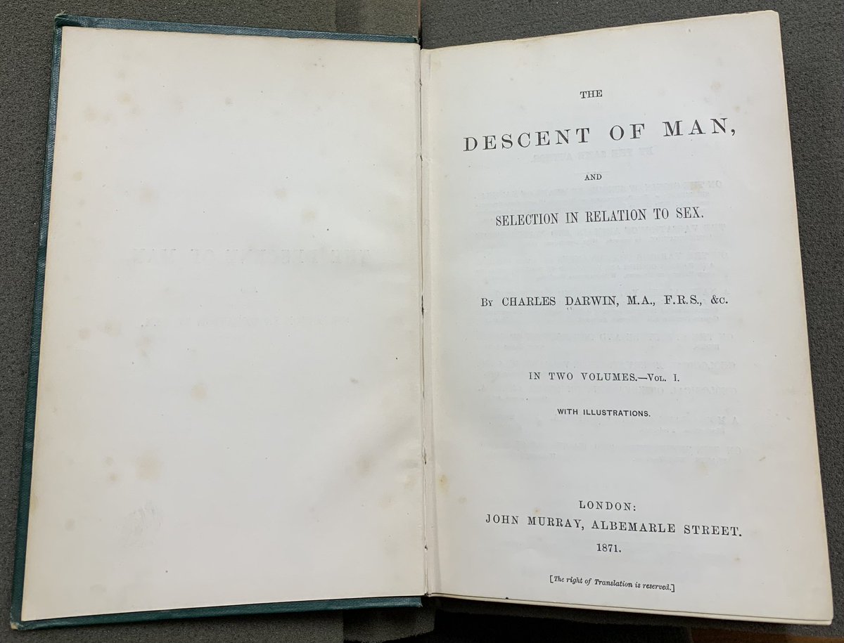 Henry-James Meiring tweet media