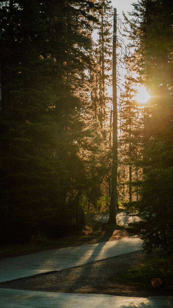 LaMouetteF's tweet photo. Et puis le silence, et le froid qui mord doucement la peau 🏔️
.
.
#reels #canadianrockies #explorerockies #hikingtheglobe #explorecanada #albertaviews #worldthroughmylens #heartsofcanada #lakelouisecanada #lakelouisealberta https://t.co/QhMDdGlyXY https://t.co/tTcUv0C43V