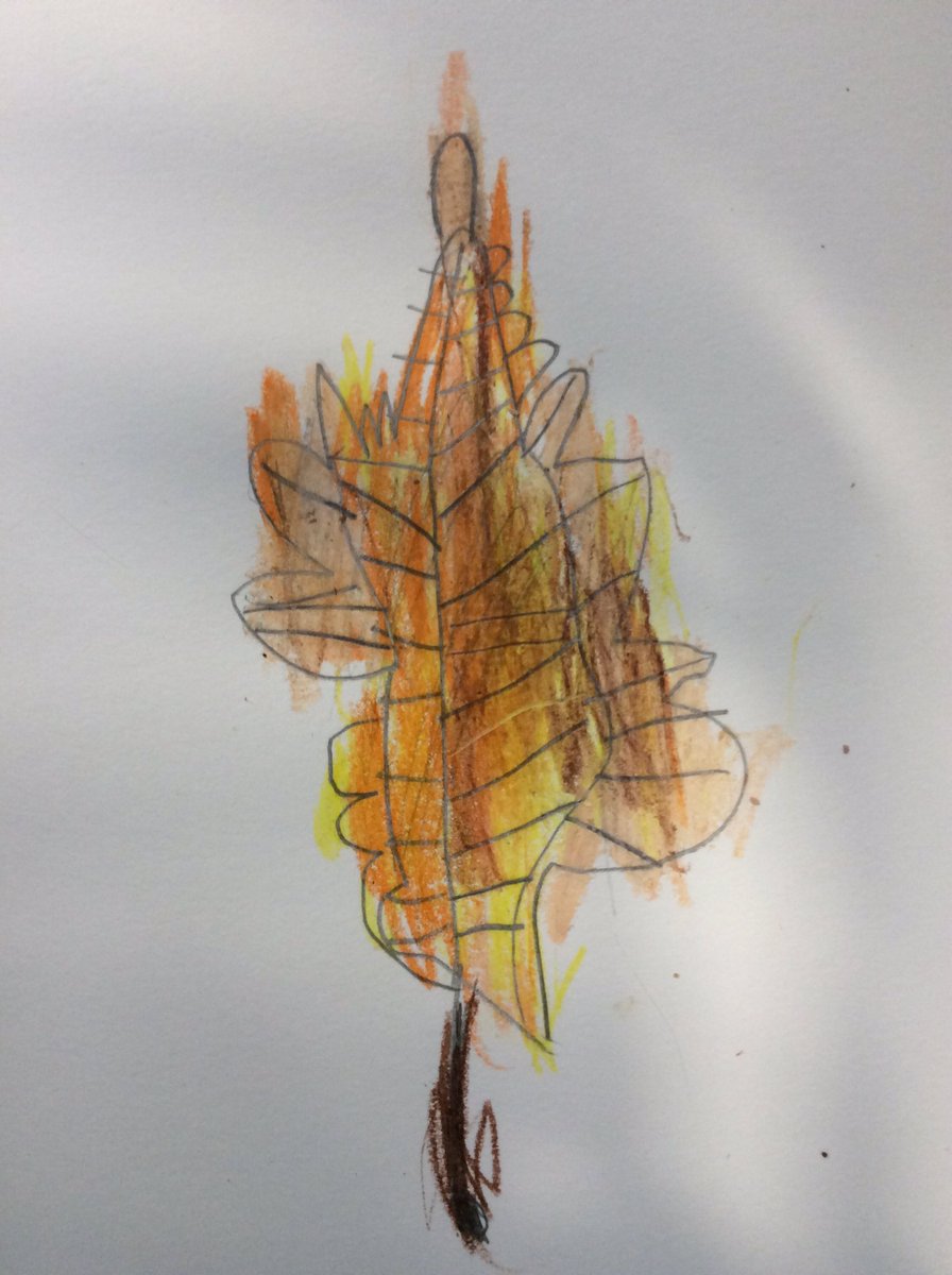 In science, we went on an autumn walk and observed all the changes. We collected some leaves and, in art, we sketched them. 🍂🍁