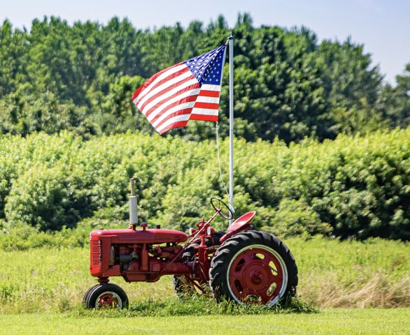 DKAS_IA's tweet photo. Did you know that about 9% of the people working in agriculture are veterans and service members? Happy Veteran’s Day 🇺🇸 
#Bayer4IA https://t.co/7wT78TJ7AD