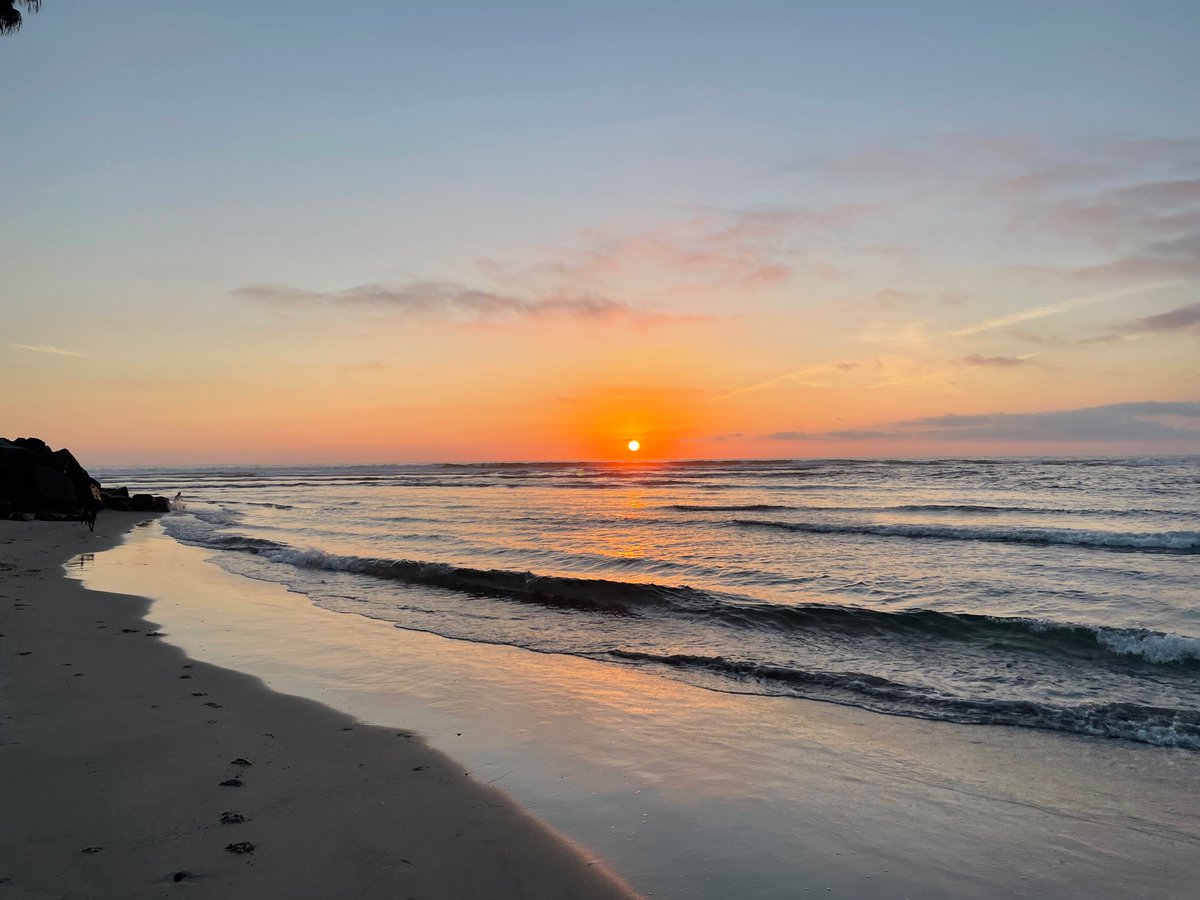 Clinical neuropsychology postdoc available in Alzheimer’s/imaging/sex diffs/modifiable risk details here: neurosciences.ucsd.edu/research/labs/… feel free to email and please retweet! Pic 10 mins from the office! 🧠🧠🧠🐬