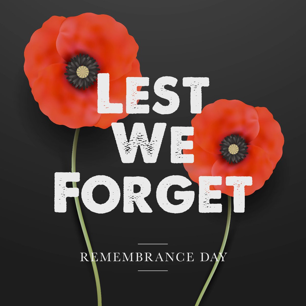 lumberheads's tweet photo. Thank you to all the men and women who have dedicated their lives to protecting our country.

#lestweforget #remembranceday #canada https://t.co/WhnQK3o50x