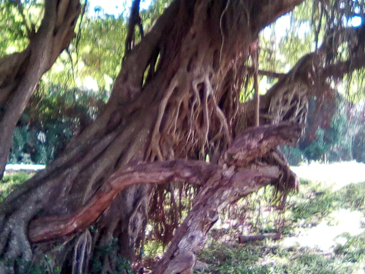 info4u2use's tweet image. SEO or Search Engine Optimization is such a strange task, as there are so many different aspects to consider. The #ThingsNotStrings issues cause confusion when folks talk of #KeyWordDensity instead of #KeyWordIntegrity or #SemanticConnectedness you know they are selling #SnakeOil