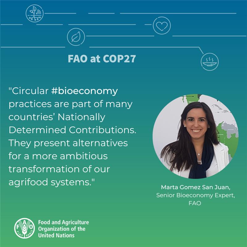 Creating a sustainable and circular #bioeconomy is a key opportunity for #ClimateAction @FAO’s @gsanjuan_marta stresses the potential at #COP27 event on better #livestock management Check out our approach to bioeconomy➡️bityl.co/FapC #FAOatCOP27 #ClimateCrisis