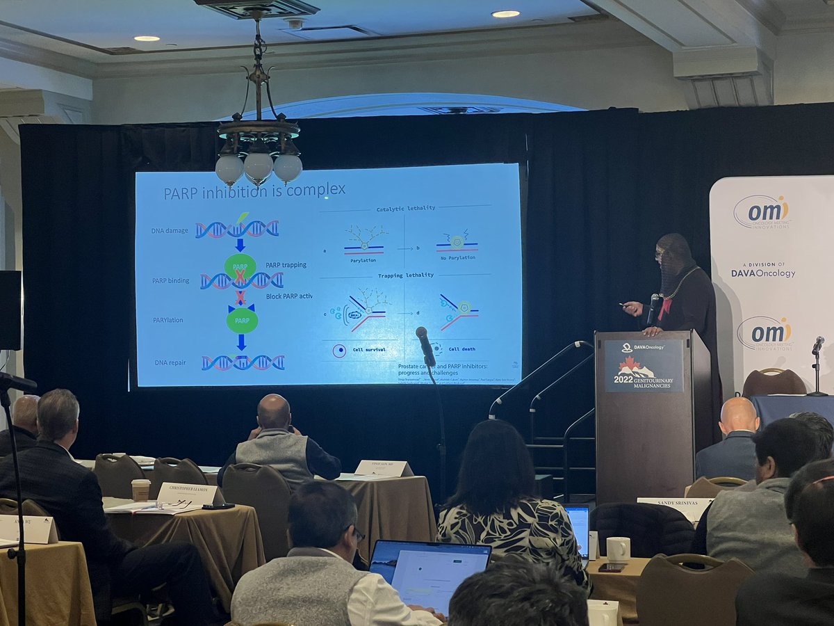 OMIonc's tweet photo. @gr8straj is definitely dressed to impress - speaking now on DNA repair defects. #DAVABanffGU https://t.co/hXdA9axUqU