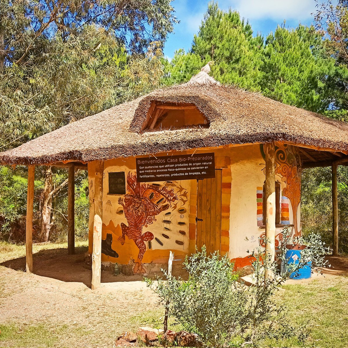 petarrayanes's tweet photo. La Casita de biopreparados es un laboratorio en el bosque del @petarrayanes donde docentes y estudiantes de Recursos Naturales realizan prácticas. ¿Querés saber más de esta carrera? El 15/11 inicia pre-inscripciones. 

#recursosnaturales 
#bachillerato
#tecnicatura
#poloarrayanes https://t.co/QSZ2hvnv0c
