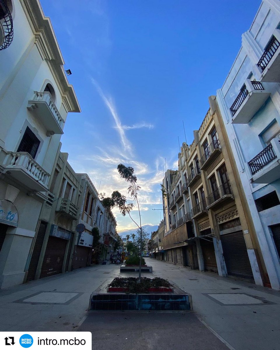 Maracaibo500's tweet photo. “Y entonces llegó el Creador con los más bellos colores, pintó casitas y flores y gente llena de amor. Callejuelas con gran brillo y tienda en cada esquina. Y a esta obra tan genuina la bautizó El Saladillo” ¡Qué hermosa eres, Maracaibo! 

Foto: Cortesía

#HaciaLos500Años https://t.co/gb9lqZHA2B