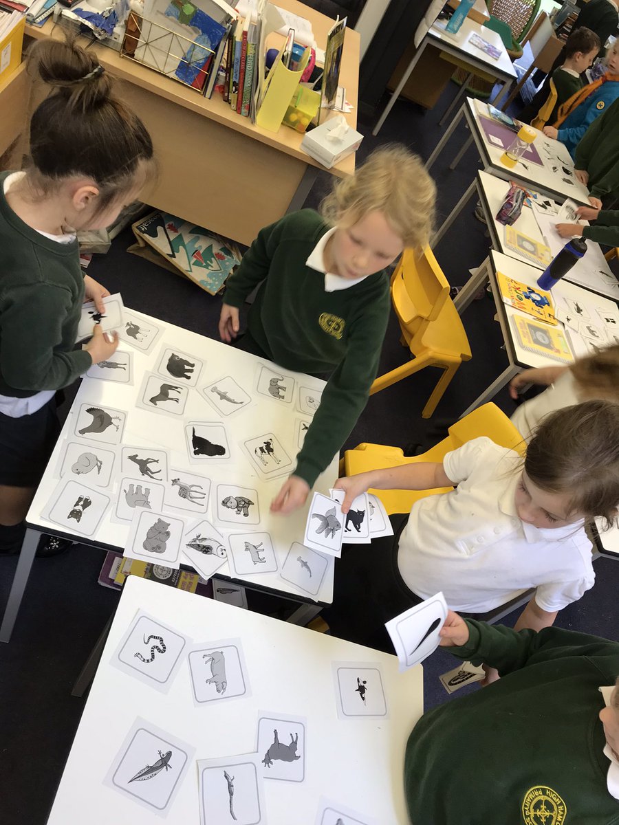 elmclasshh's tweet photo. This week in Science, we have explored animals and their offspring. We matched them up and discussed whether particular groups of animals do/don’t always look like their adult when they’re born. #HighHamScience https://t.co/0t7jLc7TYa