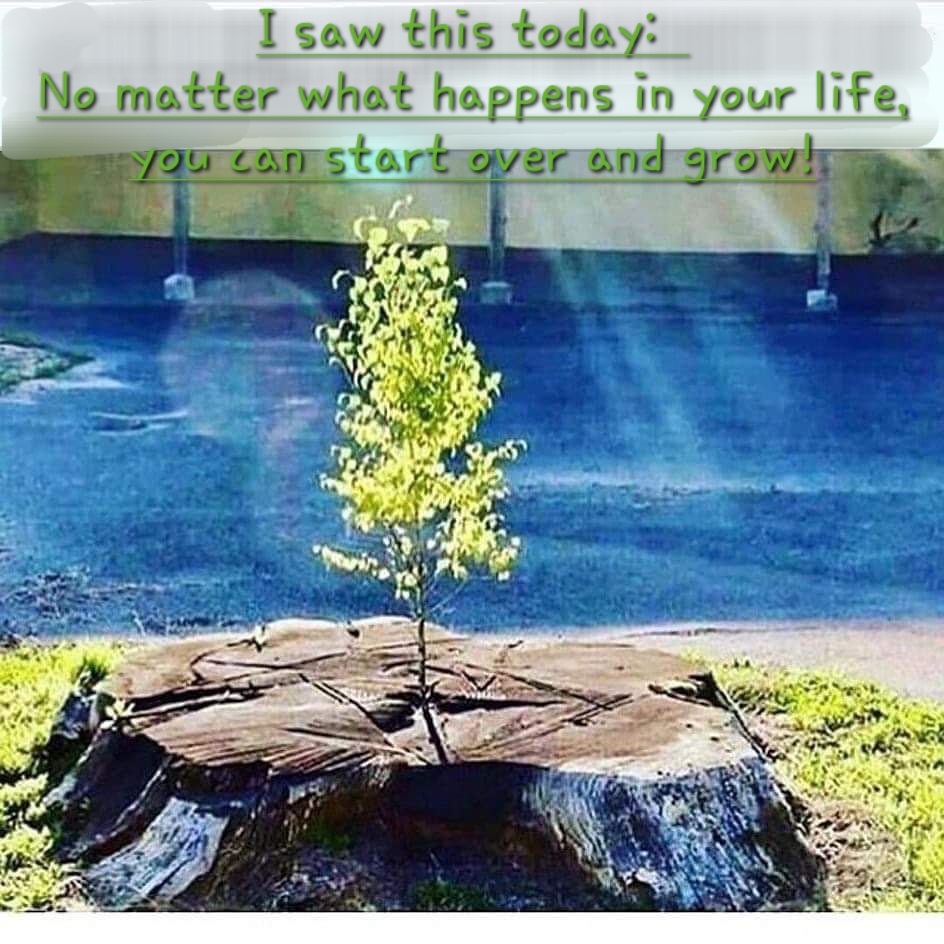 SejalShahJGD's tweet photo. No matter what happens in your life, you can start over again and grow! 💥✨️💫🙌⚘️💚
::
Empowering, isn't it?
::
On Instagram: @SejalShah108
#Qotd #QOTD #qoutesoftheday #instawisdom #startover #startoveragain #notestomyself #simpleremindersinlife https://t.co/PHrcUzgoPZ