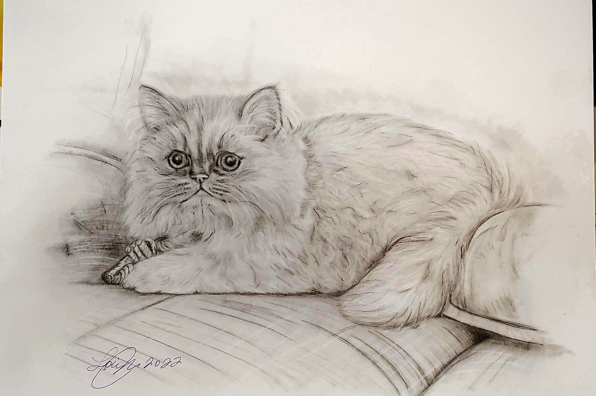 LlRobar's tweet image. Not bad sketch for self taught