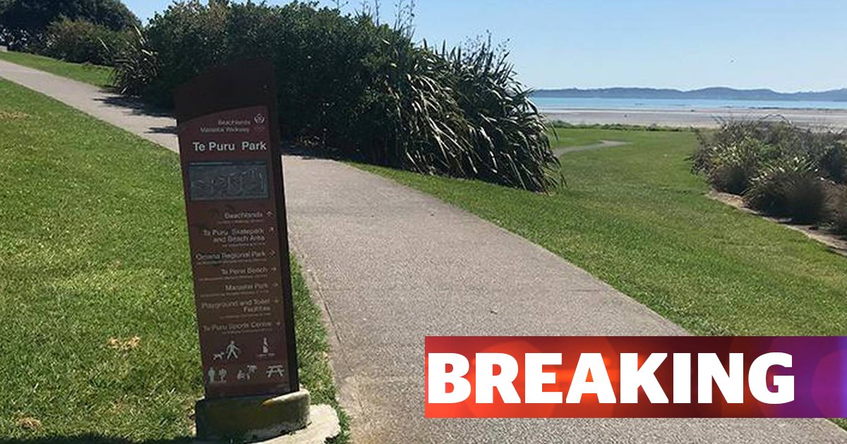nzherald on Twitter "Body found on Auckland beach https//t.co