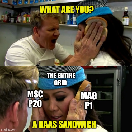 f1trollofficial's tweet image. HAAS sandwich