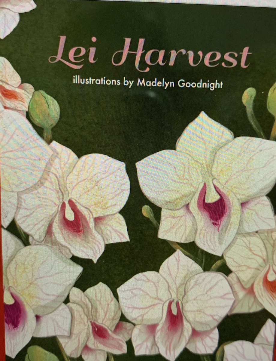 Kathy Schnefke tweet media