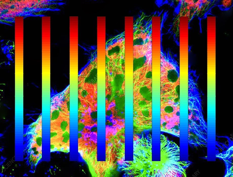 #art #artist #artistsoftwitter #psychedelic #psychedelicart #psychedelicartist #trip #trippy #trippyart #ifyouhigh #acid #mushrooms #digital #digitalart #digitalartist #artgallery #artcollector #contemporaryart #acrylic #painter #nft #nfts #nftcommunity #nftcollector