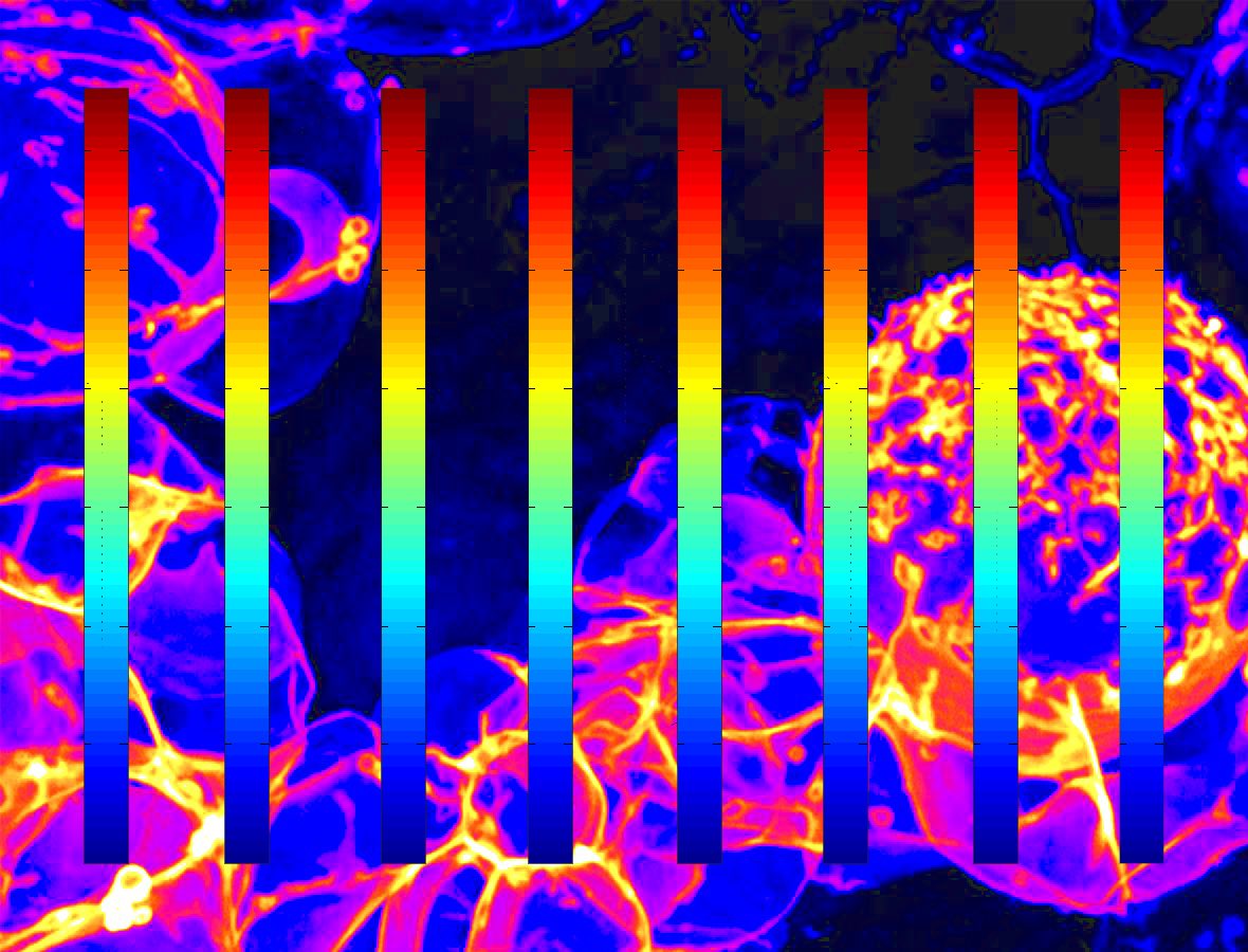 #art #artist #artistsoftwitter #psychedelic #psychedelicart #psychedelicartist #trip #trippy #trippyart #ifyouhigh #acid #mushrooms #digital #digitalart #digitalartist #artgallery #artcollector #contemporaryart #acrylic #painter #nft #nfts #nftcommunity #nftcollector