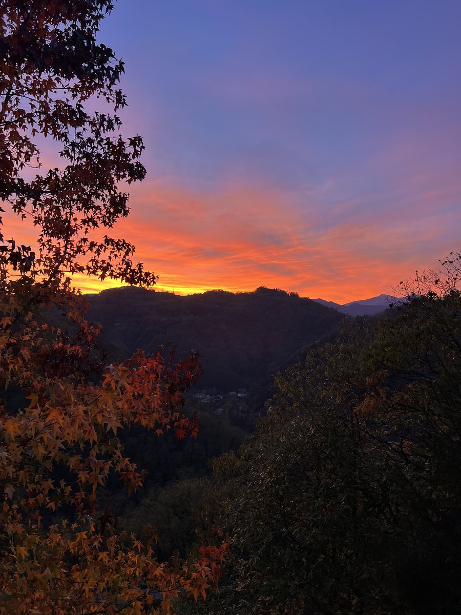 The views from my home are truly remarkable.
