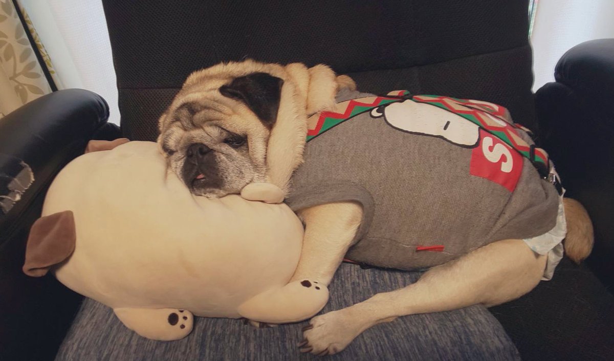 おつかれドッグ