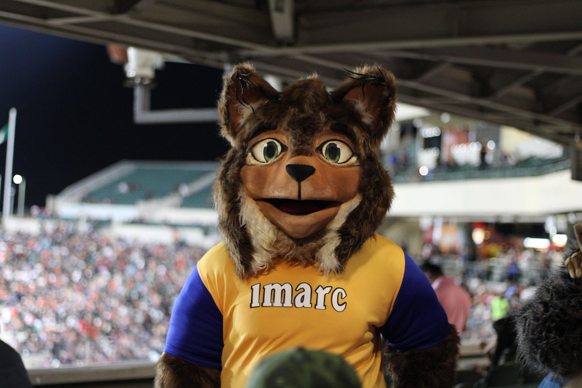 imarcmx's tweet photo. Nuestra mascota Jerry visitó el estadio Sonora en el Festival de Mascotas de la Liga ARCO Mexicana del Pacífico junto a Beto Coyote de los Naranjeros de Hermosillo ⚾
LIVE IMARC!
#LIVEIMARC #ORGULLOSAMENTEIMARC #BEISBOL #FESTIVALDEMASCOTAS #HERMOSILLO #SONORA #NARANJEROS https://t.co/HMZDRKbUtE