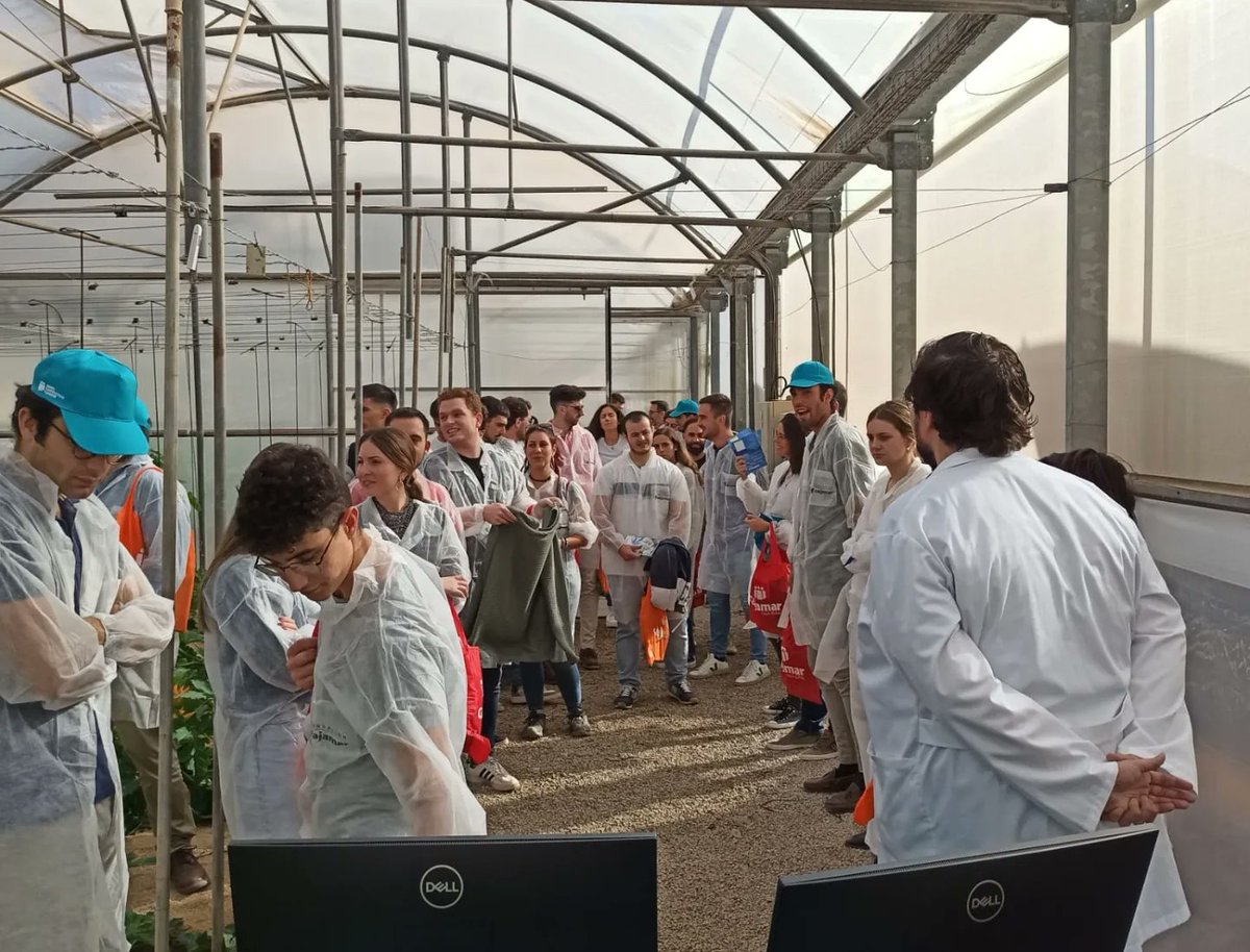 pacogutierrezm tweet media