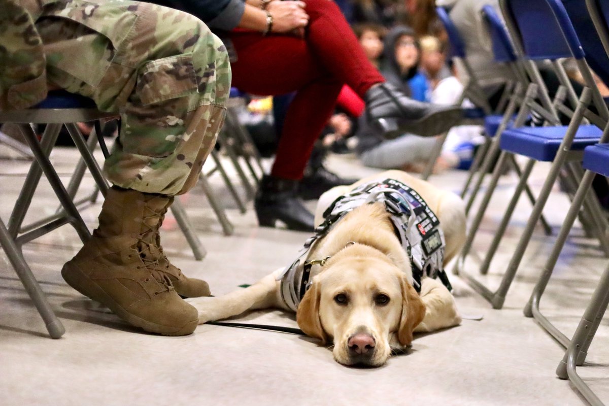 WSDinfo's tweet photo. Happy Veterans Day! @DrTormalaWSD enjoyed @discovery_ridge's celebration as part of her #first100daychecklist. Stay tuned for more WSD Veterans Day photos from across the District tomorrow! https://t.co/cDB2bKBIi7