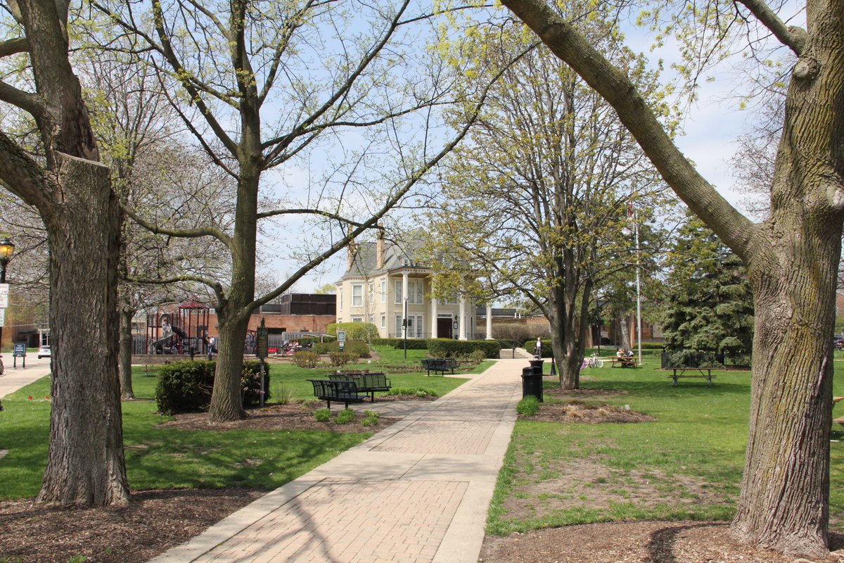 Lake County IL Gov tweet media