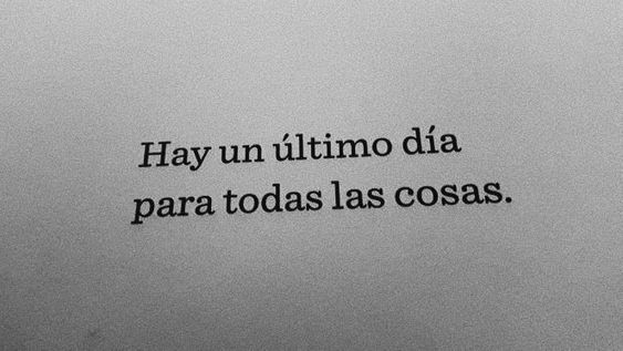 literland (@literlandweb1) on Twitter photo 