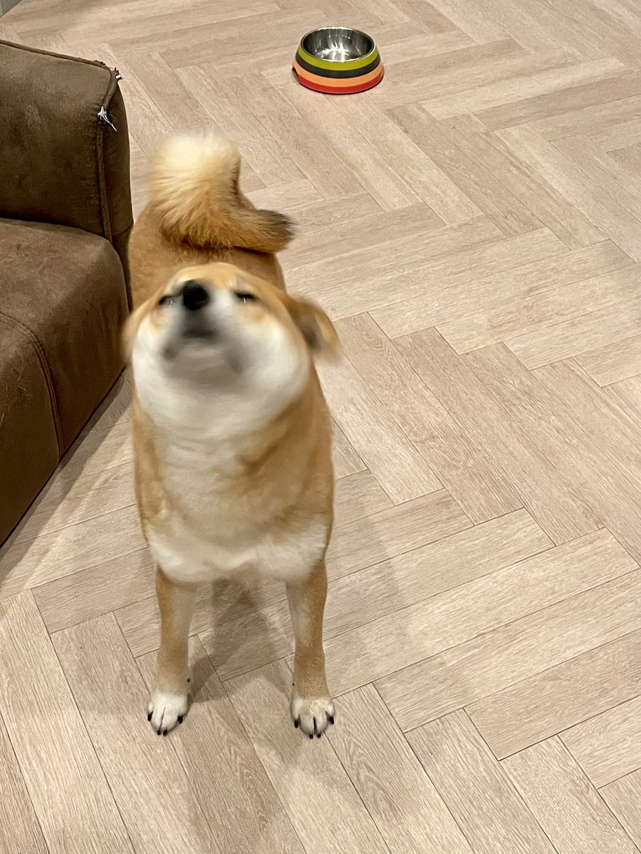 柴ドリル様専用 3点セット Tp Co Th 柴ドリル様専用 3点セット Tp Co Th