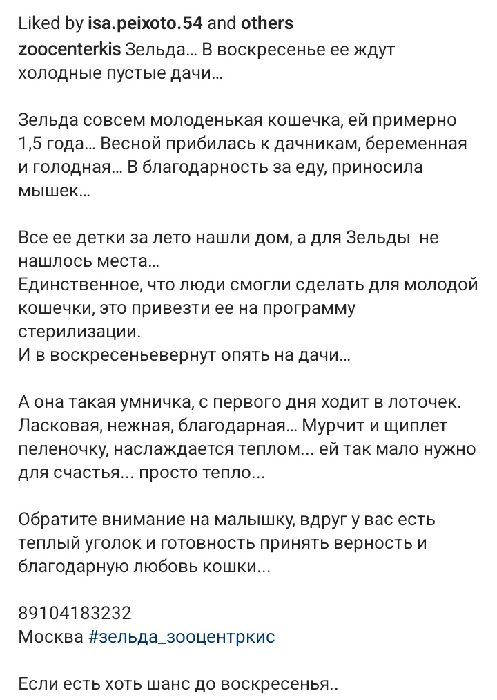 Москва! Кошечку в воскресенье оставляют одну на пустых дачах😭

Она сейчас в Москве, ее можно укотовить.

Поретвитьте пожалуйста 🥺