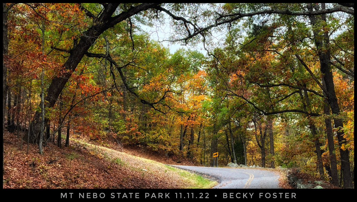 beckfost's tweet photo. @KATVToddYak and @KATVJames are talking #Winter but I’m out here still enjoying #ArkansasFall ♥️🍂🍁Mt Nebo - Dardanelle AR 11.11.22 https://t.co/0H9g7lXOVz