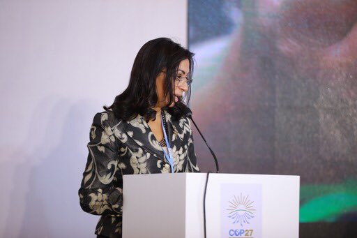 EGY_Environment's tweet photo. 5/6: H.E. Dr. Maya Morsi, @ncwegypt President elaborates on the gender parity. 96.2% of #MENAwomen achieve #educational attainment while #economic participation is only 46%. https://t.co/Zw3cPKybCj