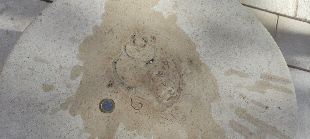 Misviajesporahi's tweet image. 75. ¡Mirad lo que he encontrado!
Un enorme gasterópodo con cristales, rodeado de otros más pequeños. El corte es oblicuo (por eso se ve un poco deforme). 🐚
 #minubetrip #BurgosTeSientaBien  #minubetripBurgos
@minube @infoturburgos #urbanfossils #fossil #fossils #urbanfossil