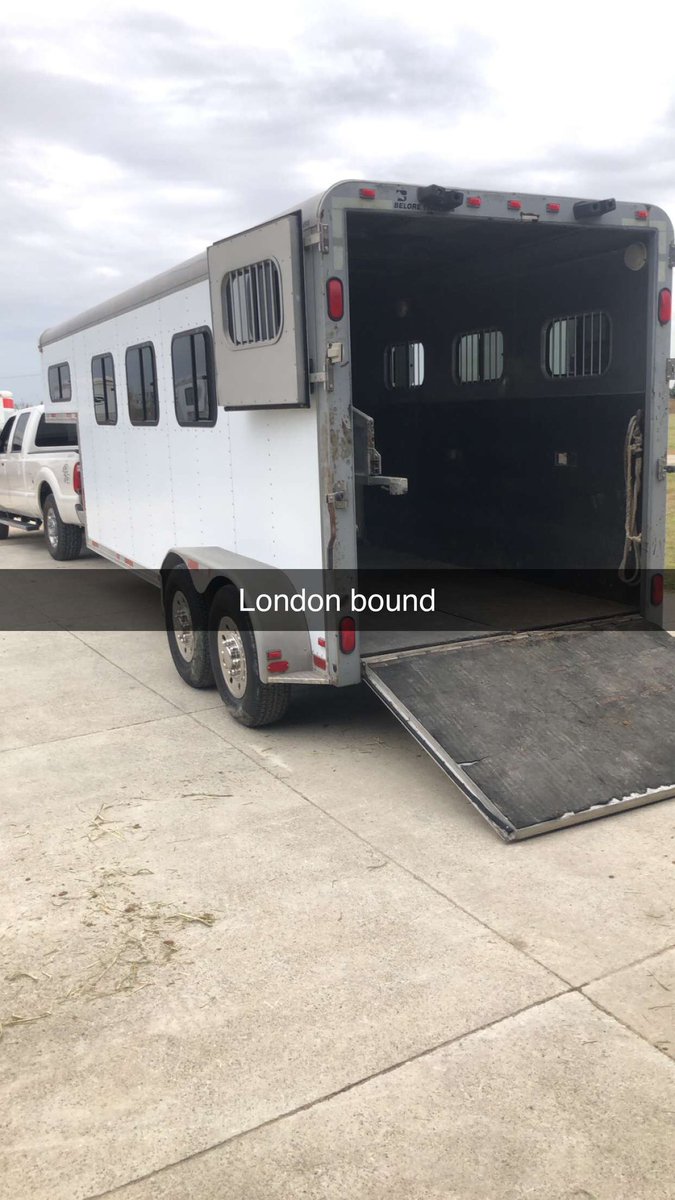 JustinLeboeufStables (@stablesjustin) on Twitter photo 