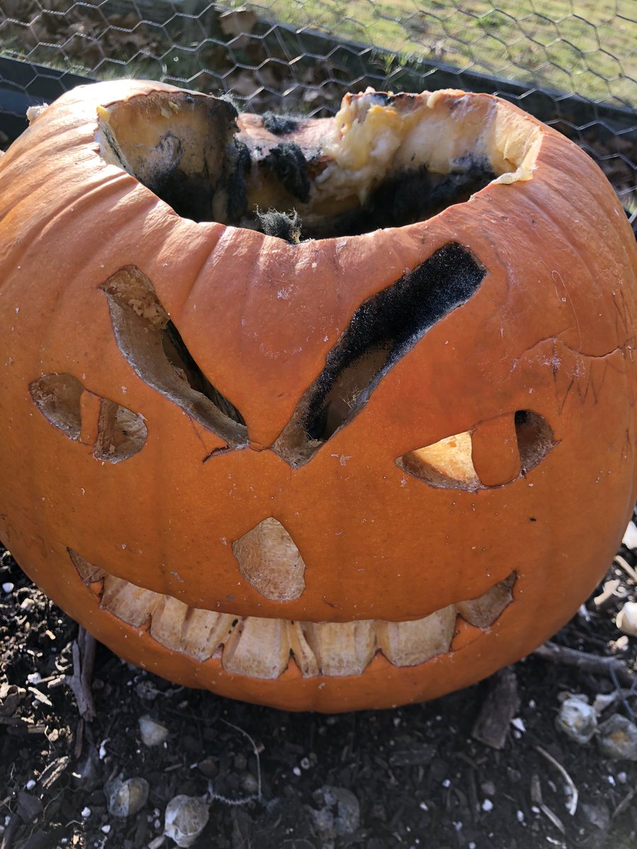 STEM Teaching Tools tweet media