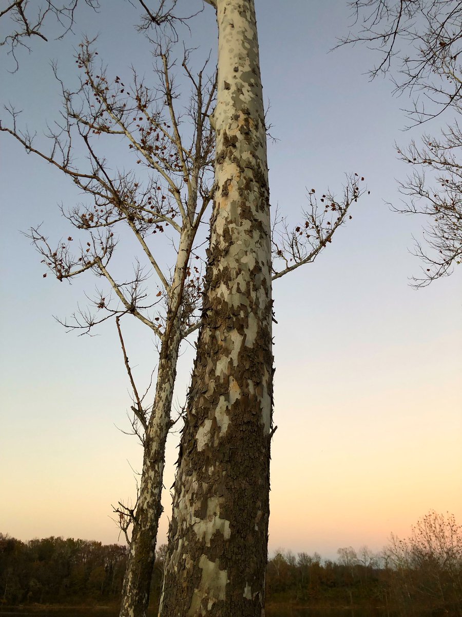 STEM Teaching Tools tweet media